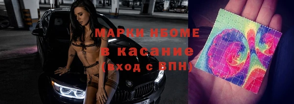 прущие грибы Горнозаводск