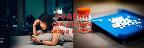 шишки Горно-Алтайск