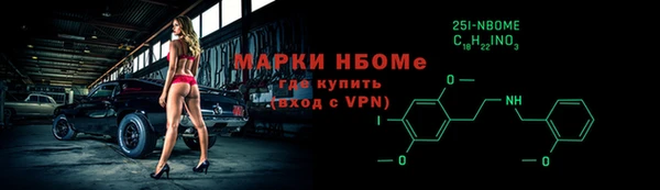 шишки Горно-Алтайск
