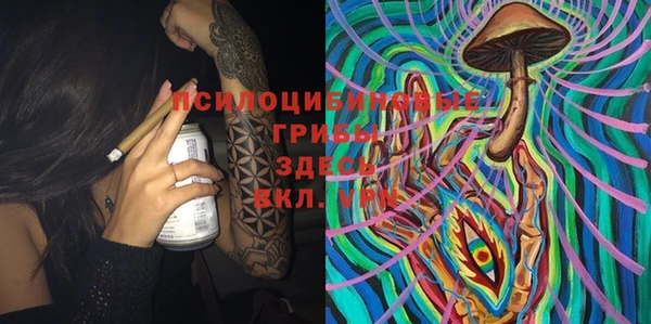 МДПВ Гусь-Хрустальный