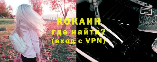 прущие грибы Горнозаводск
