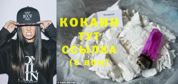 прущие грибы Горнозаводск