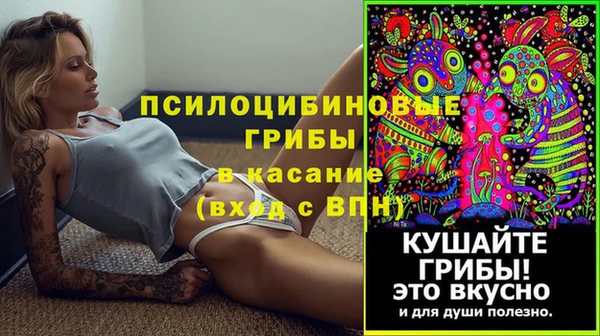 прущие грибы Горнозаводск