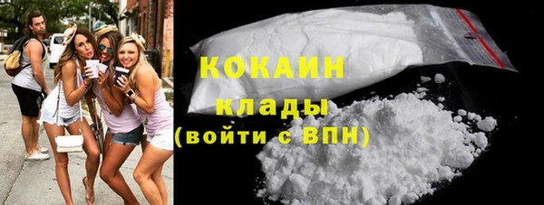 прущие грибы Горнозаводск
